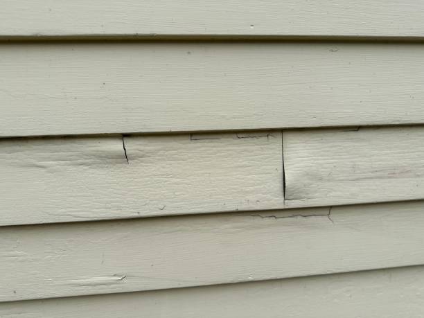 Affordable Siding Repair and Maintenance Services in Bear Valley Springs, CA